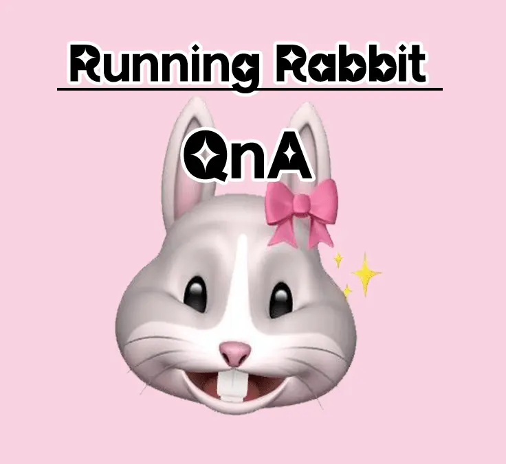 강남 달토 분위기와 시설